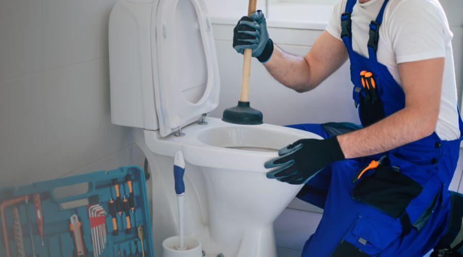 Local annual plumbing maintenance in Pullman, MI